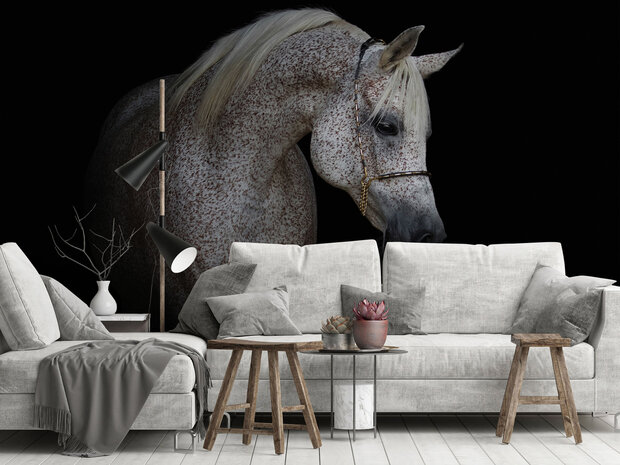 Horse Photo Wall Mural 13596P8