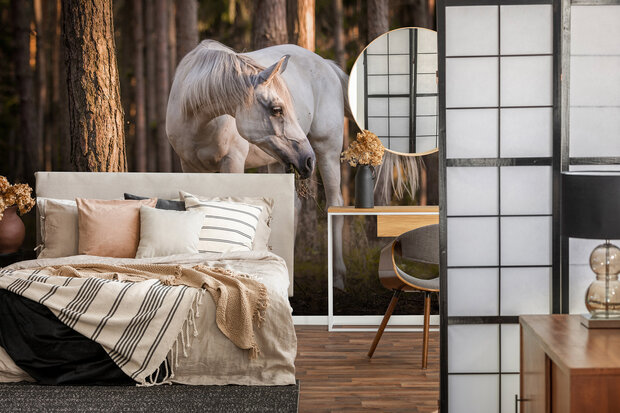 Horse Photo Wall Mural 13599P8