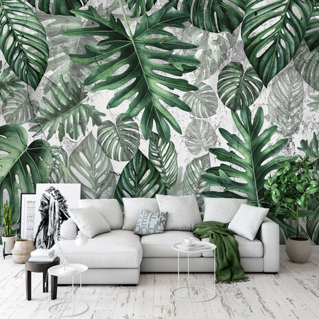 Monstera Bladeren Fotobehang 13781P8