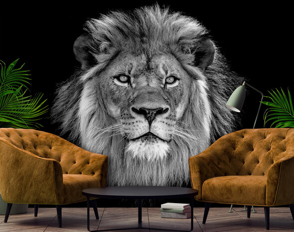 Lion Photo Wall Mural 13996P8