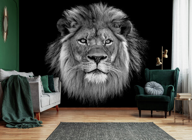 Lion Photo Wall Mural 13996P8