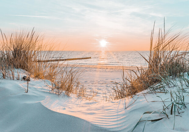 Beach Dunes Photo Wall Mural 14021P8