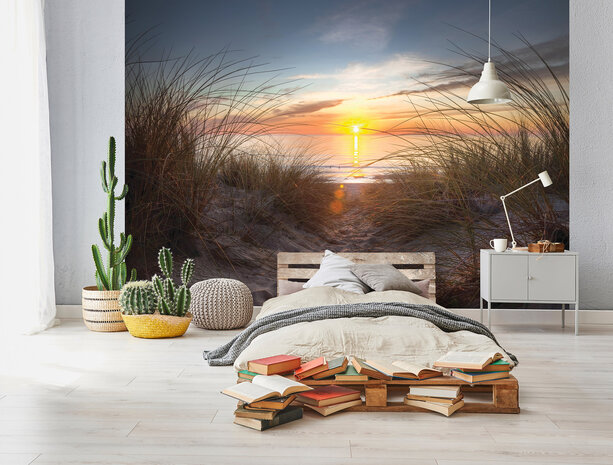 Beach Dunes Photo Wall Mural 14022P8