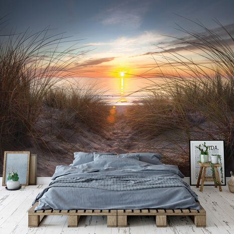 Beach Dunes Photo Wall Mural 14022P8