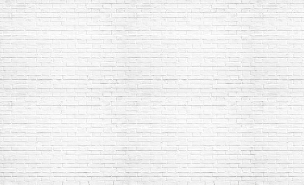 Bricks Photo Wallpaper Mural 1782P8