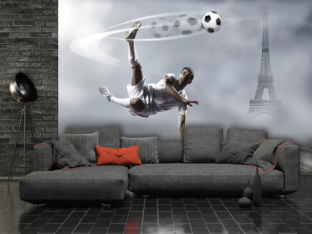 Soccer Photo Wallpaper Mural 2255P8