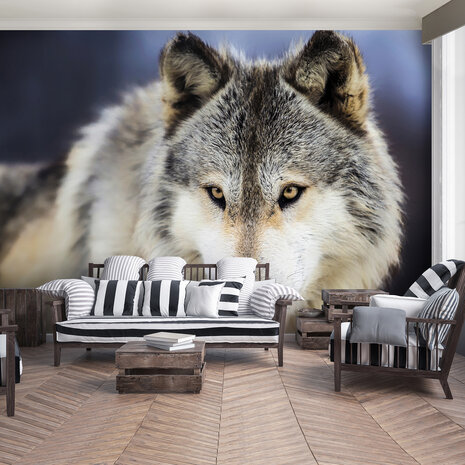 Animals Photo Wall Mural 2938P8