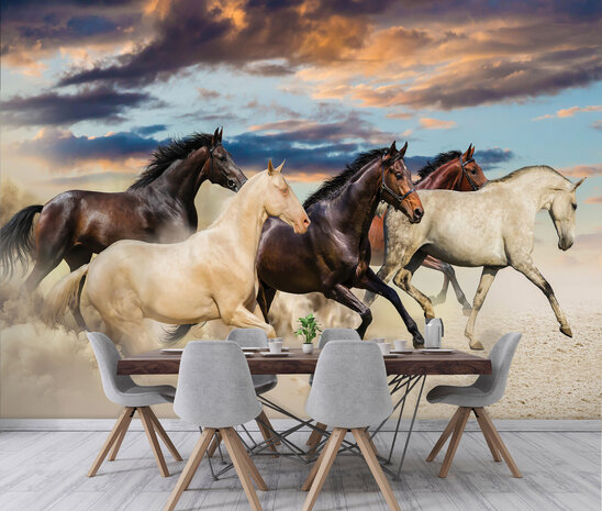 Animals Photo Wall Mural 2964P8