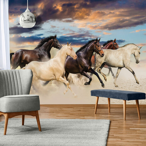 Animals Photo Wall Mural 2964P8