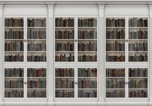 Bookcase Photo Wall Mural 3689P8
