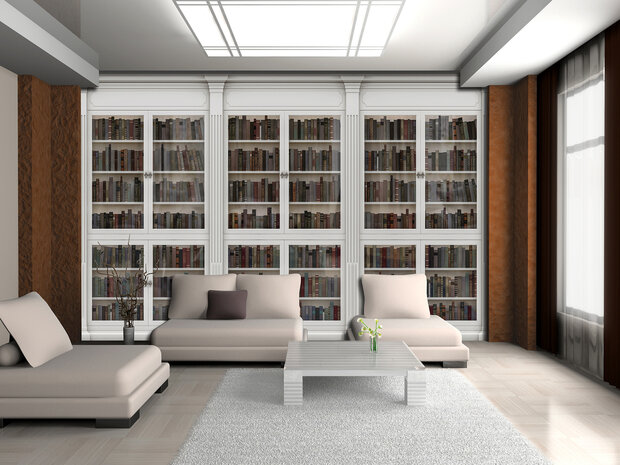 Bookcase Photo Wall Mural 3689P8