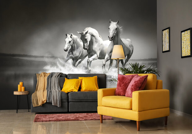 Animals Photo Wall Mural 426P8