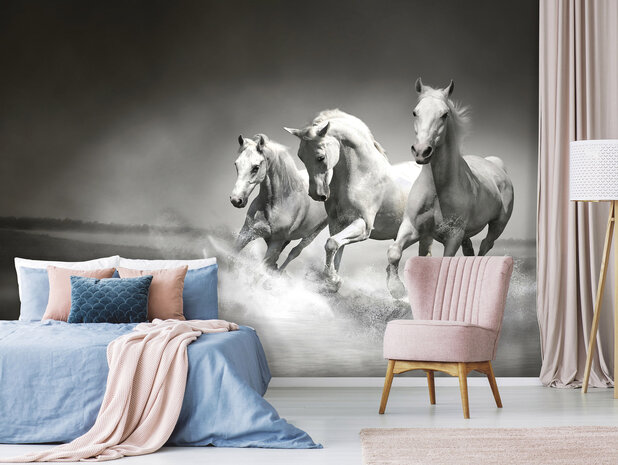 Animals Photo Wall Mural 426P8