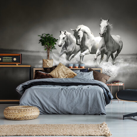 Animals Photo Wall Mural 426P8