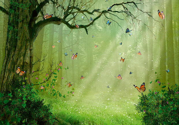 Magic Forest Wall Mural 14403