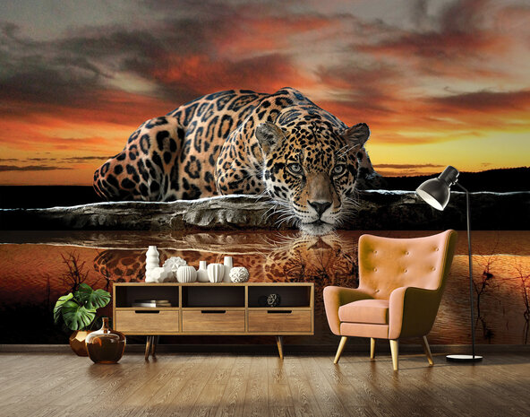 Animals Photo Wallpaper Mural 126P8