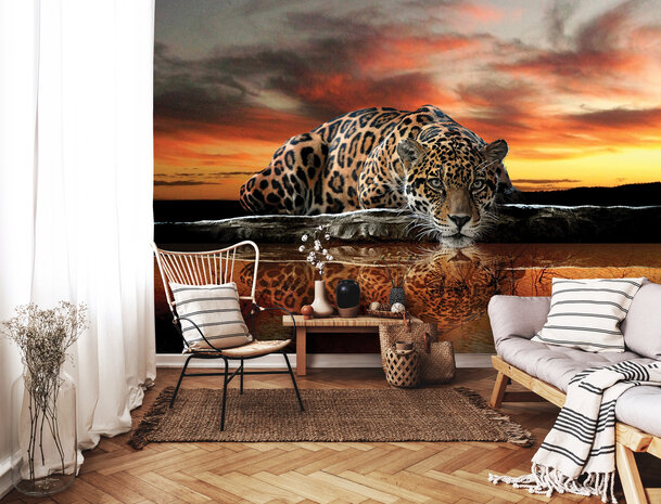 Animals Photo Wallpaper Mural 126P8