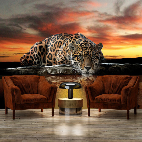 Animals Photo Wallpaper Mural 126P8