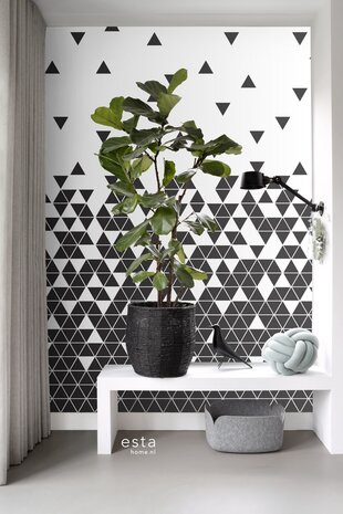 Esta XL2 - Photowalls | Scandi Cool 158906 (FREE Glue Included!)