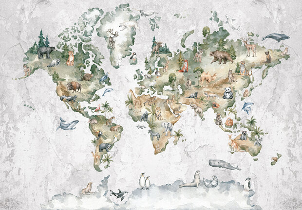 Wereldkaart Wall Mural 14421