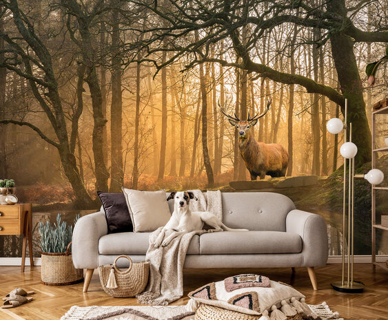 Dear Photo Wall Mural 14520