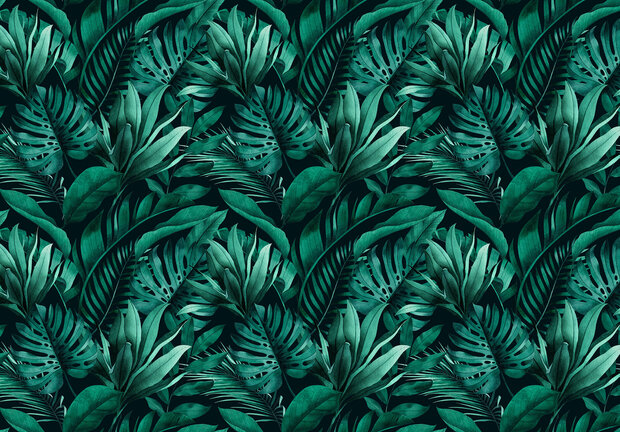 Jungle Wall Mural 14528