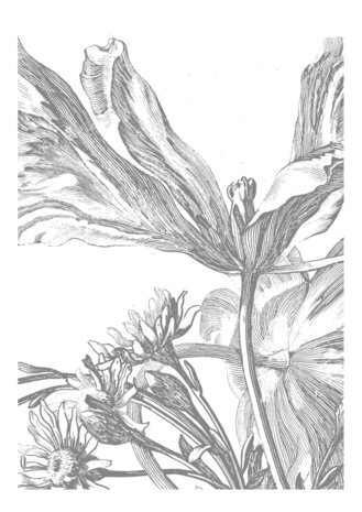 KEK Amsterdam Engraved Flowers III WP.329