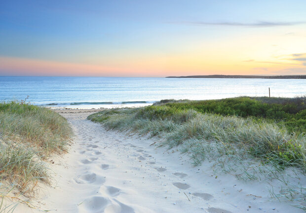 Dunes Wall Mural 14535