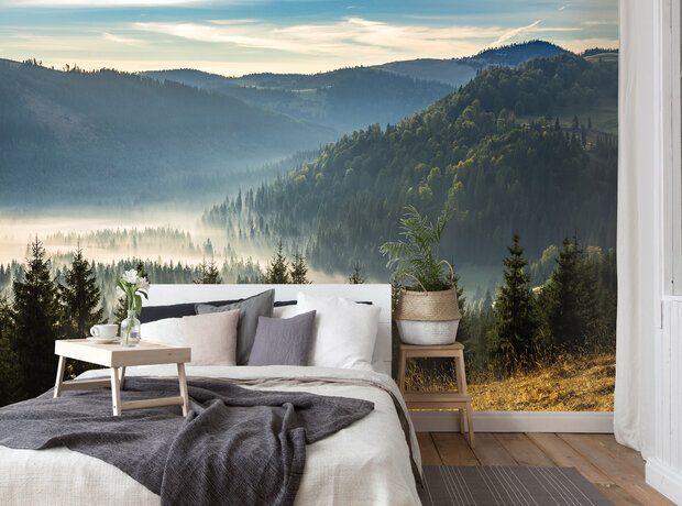 Misty Forest Wall Mural 14537