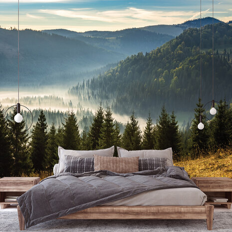 Misty Forest Wall Mural 14537