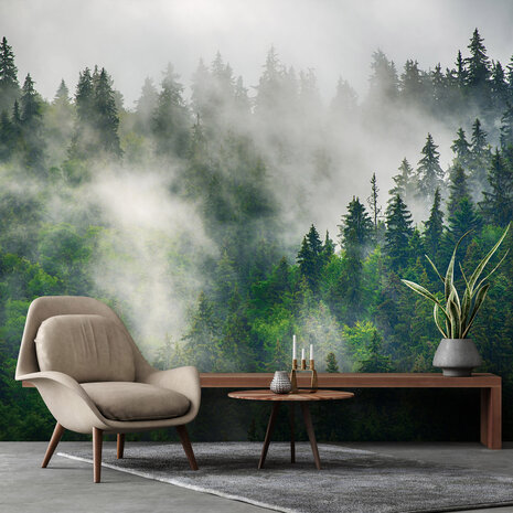 Misty Forest Wall Mural 14566