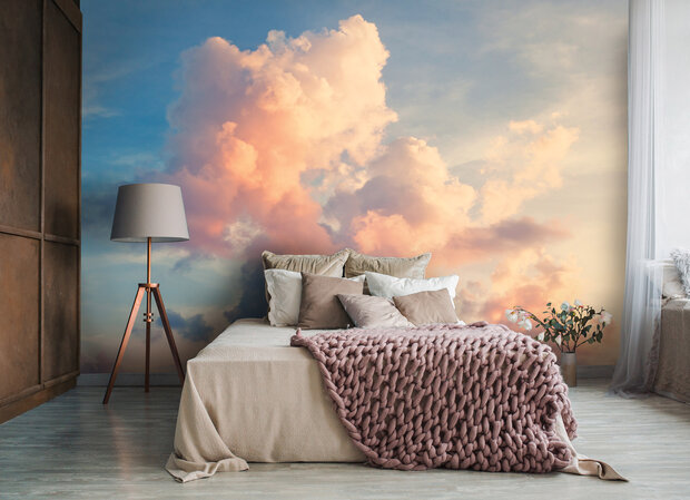 Clouds Wall Mural 14570