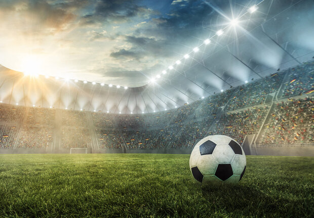 Soccer Stadium Wall Mural 14576