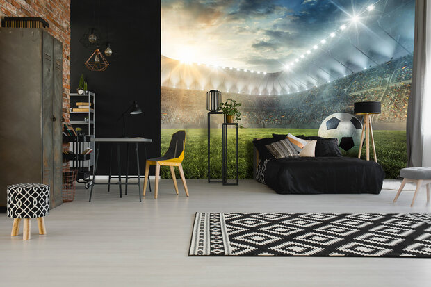 Soccer Stadium Wall Mural 14576