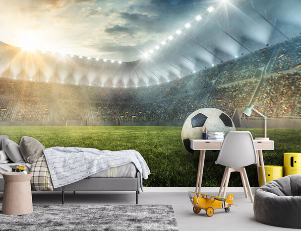 Soccer Stadium Wall Mural 14576