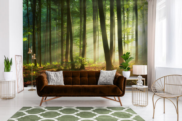 Forest Wall Mural 14578