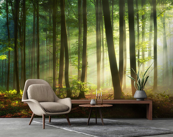 Forest Wall Mural 14578