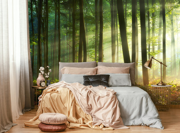 Forest Wall Mural 14578