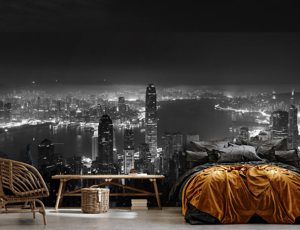 City Skyline Wall Mural 14594