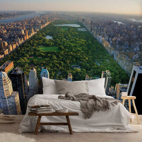 New York City Photo Wall Mural 14616