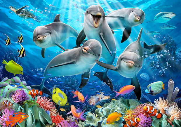 Dolfijnen Selfie Fotobehang 12849P8