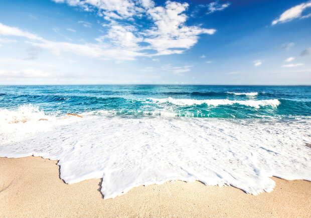 Photo Wall Mural Beach waves 10218P8