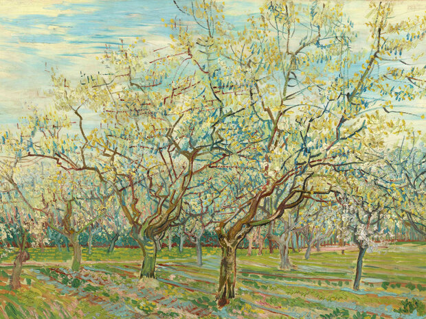 BN Walls Van Gogh II The White Orchard 300392