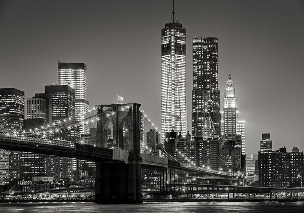 New York by Night Fotobehang 13032P8