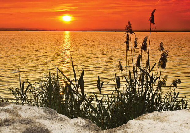 Sunset Photo Wall Mural 11621P8