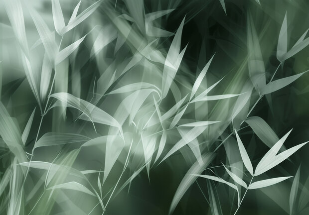 Jungle Fotobehang 15524