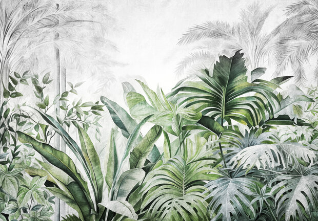 Jungle Fotobehang 15026
