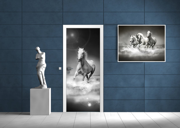 Horses girls Bedrooms Door Mural Photo Wallpaper 426VET