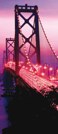 Golden Gate Bridge City Urban Door Mural Photo Wallpaper 417VET