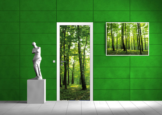 Green Forest Door Mural Photo Wallpaper 186VET